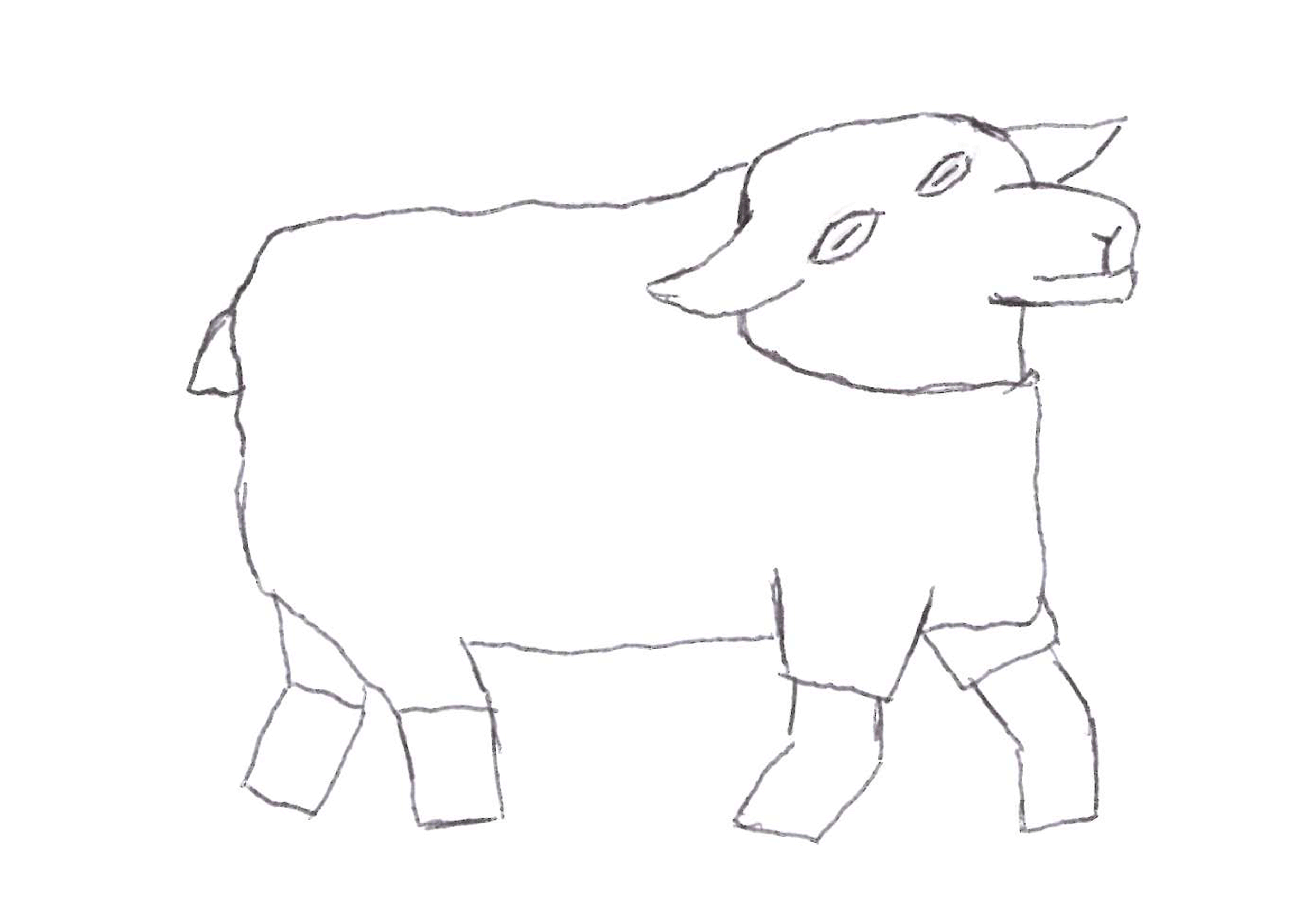 sheep_walk
